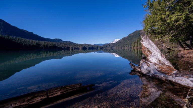 Packwood Lake w Rainier