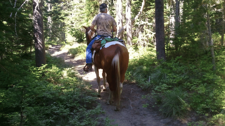 Riding back to Keenes Horse Camp