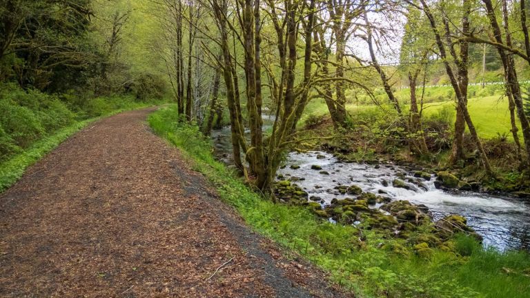 Discover the Beauty of Willapa Hills Trail in Lewis County this Summer