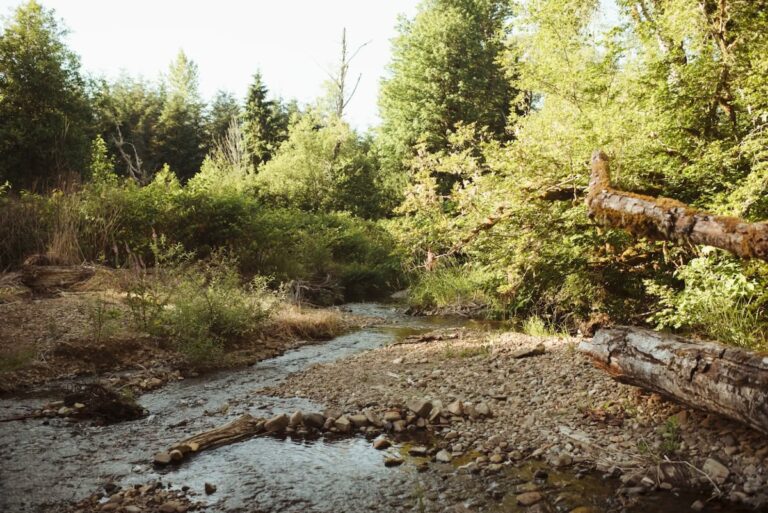 723fb4da 23ed 4347 8d4e 8ab46508dd62 768x513