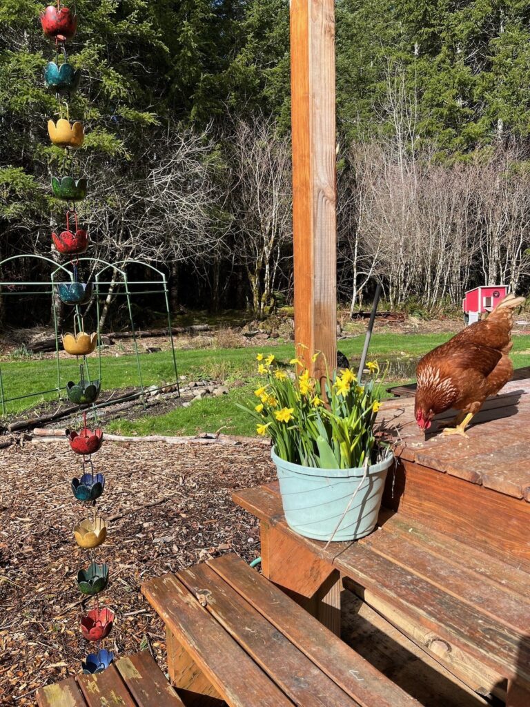 86268937 bba9 4fbb 96f2 aee48705b635 768x1024