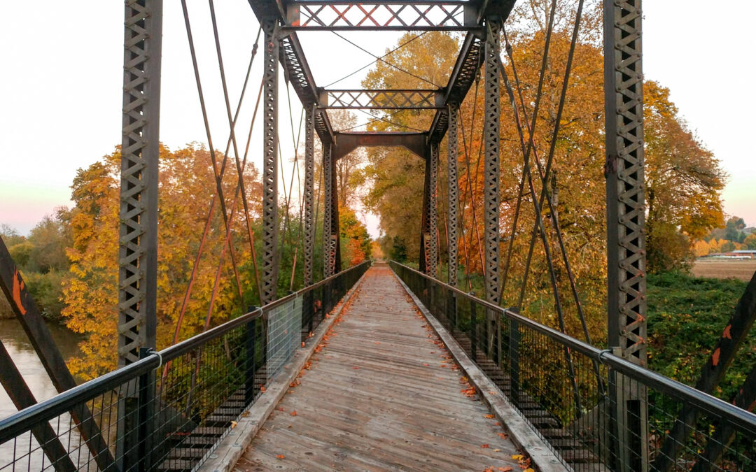 Exploring the Willapa Hills Trail in West Lewis County This Fall