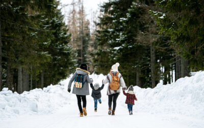 Plan Your Perfect Winter Getaway to Lewis County