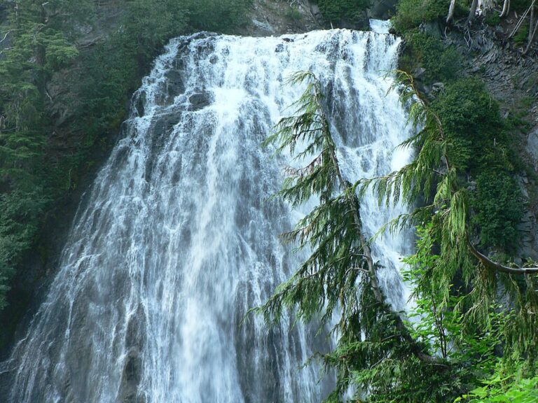 Narada Falls 33a5451212de4a09ab75c55be61a9c2a 768x576