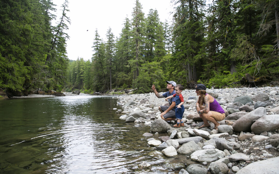 Planning Your Summer Getaway to Lewis County’s Great Outdoors
