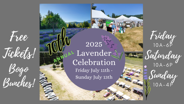 2025 10th Annual Cowlitz Falls Lavender Celebration a54993c059d76fbe6c893d735b8ec7e1 768x433