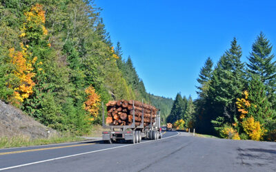 Exploring the White Pass Scenic Byway in Autumn