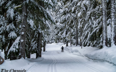 Winter Fun Awaits at White Pass Nordic Center