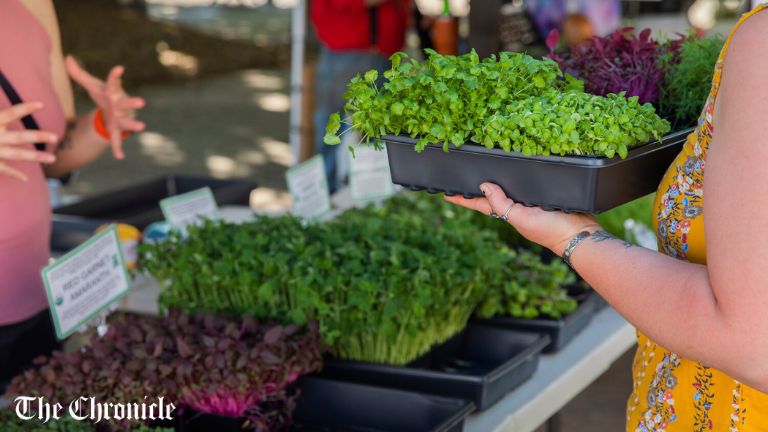 Centralia Farmers Market