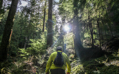 Chasing Bigfoot in East Lewis County