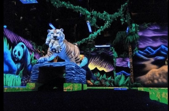 shankz mini golf 1