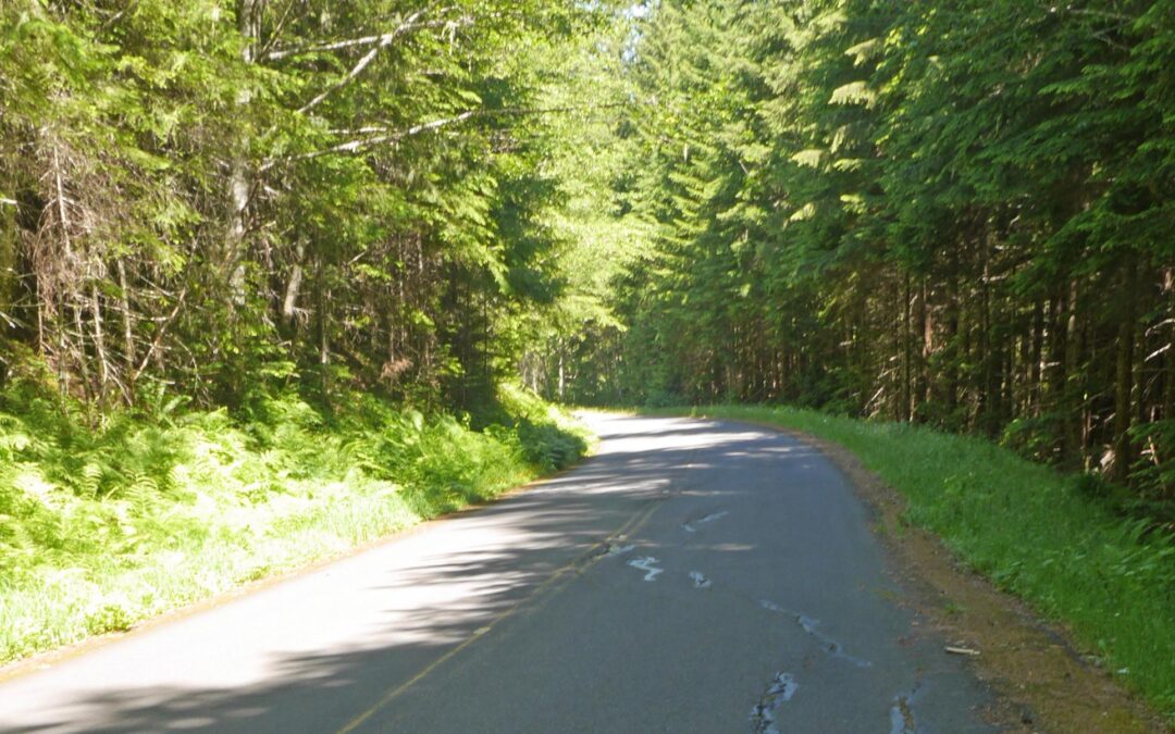 Bridge Repair and Summer Work on Forest Road 25