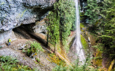 Planning a Vacation in Lewis County: Where Adventure and Relaxation Meet