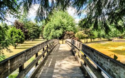 Explore the Willapa Hills Trail This Spring & Summer