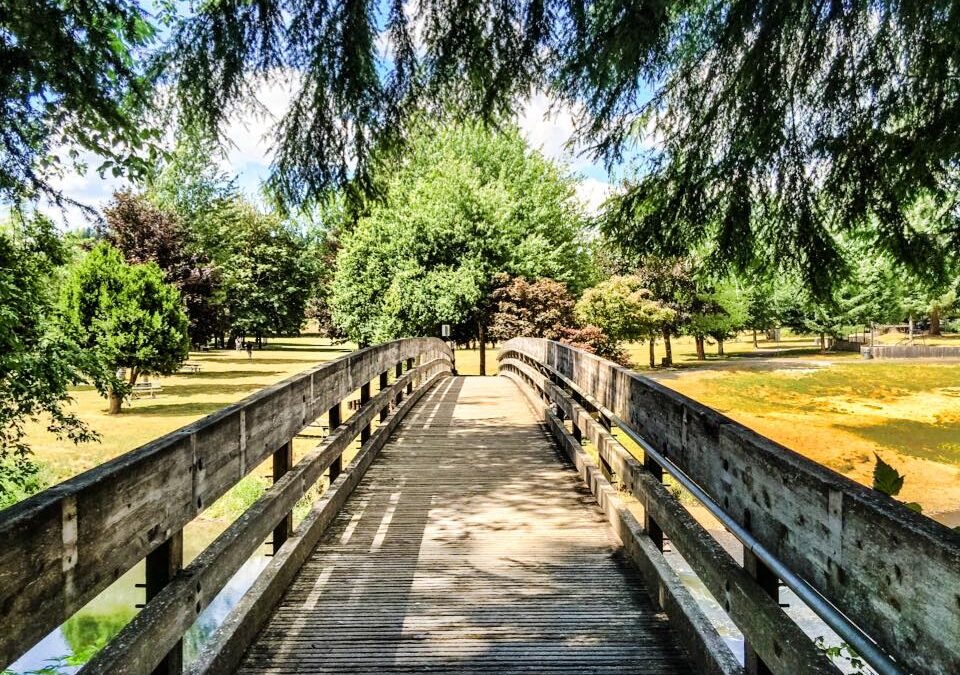 Explore the Willapa Hills Trail This Spring & Summer