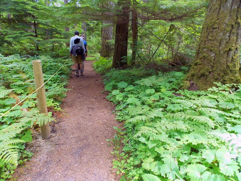 The Braille Trail Cispus Learning Center 768x576