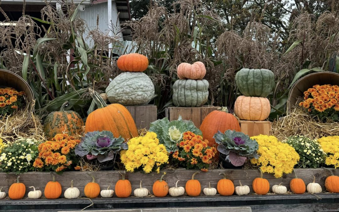 Experience Fall Fun in Lewis County