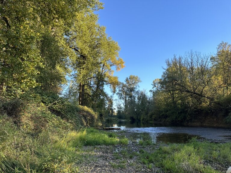 October 2023 97 768x576