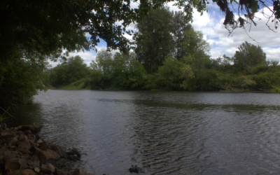Discover the Outdoors at Borst Park in Centralia