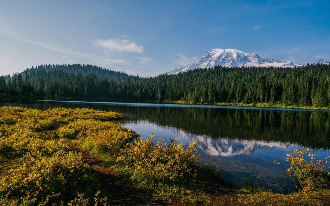 Visiting Mount Rainier National Park from Lewis County