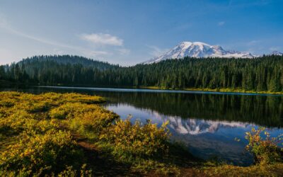 Visiting Mount Rainier National Park from Lewis County